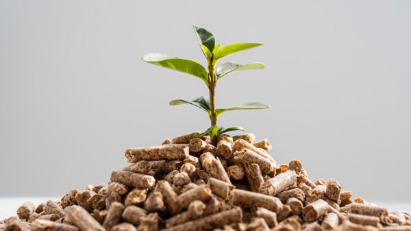 Prémium fenyő pellet 15kg - Image 4